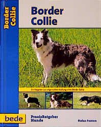 gebrauchtes Buch – Stefan Sussam – Border Collie, Praxisratgeber