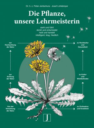 ISBN 9783933874221: Die Pflanze, unsere Lehrmeisterin