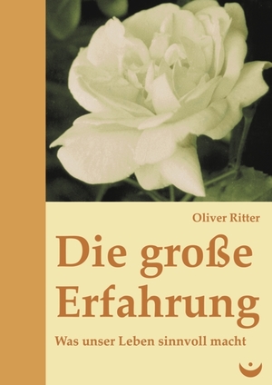 ISBN 9783934291560: Die große Erfahrung - Was unser Leben sinnvoll macht