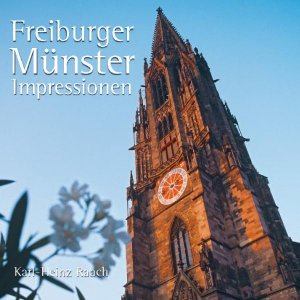 ISBN 9783935048156: FREIBURGER MÜNSTER IMPRESSIONEN