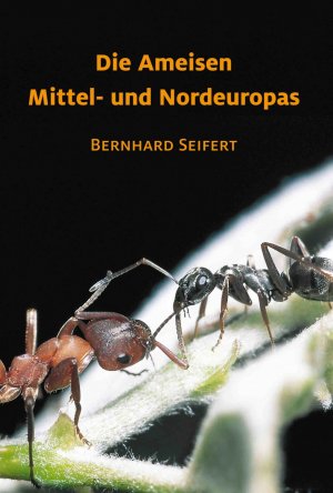 ISBN 9783936412031: Die Ameisen Mittel- und Nordeuropas