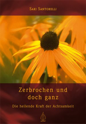 gebrauchtes Buch – Saki Santorelli – Zerbrochen und doch ganz