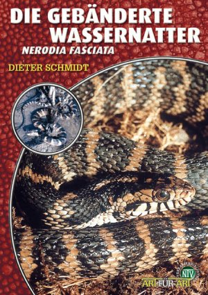 ISBN 9783937285238: Die Gebänderte Wassernatter - Nerodia fasciata