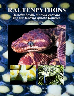 Stefan Broghammer (Autor) - Python regius Atlas der Farbmorphen Stefan Broghammer