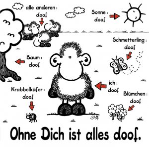 gebrauchtes Buch – Steff – Ohne Dich ist alles doof.