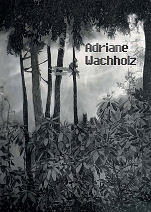 ISBN 9783938370438: Adriane Wachholz