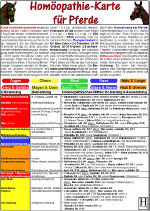 ISBN 9783939081128: Homöopathie für Pferde DIN A5 | Tierheilkunde Karte | Die bewährtesten homöopathischen Mittel für Ihr Tier - verständlich, kurz & prägnant im DIN A5 Kartenformat ( 4-farbig ) ! | Deutsch | 2010
