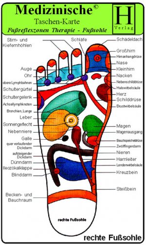 ISBN 9783939081364: Fussreflexzonen Therapie - Fusssohle- Medizinische Taschen-Karte