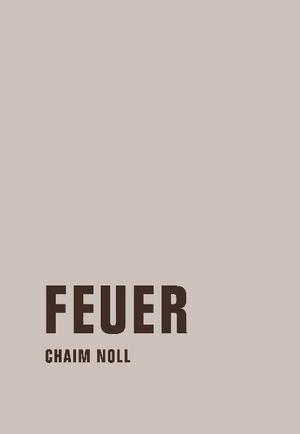 gebrauchtes Buch – Chaim Noll – Feuer. Roman.