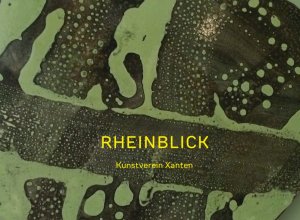 gebrauchtes Buch – Rheinblick