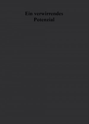 ISBN 9783941825925: Ein verwirrendes Potenzial