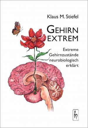 ISBN 9783941911505: Gehirn extrem: Extreme Gehirnzustände neurobiologisch erklärt