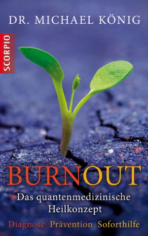 neues Buch – Michael König – Burnout