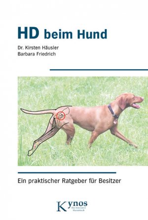 neues Buch – Häusler, Kirsten;Friedrich, Barbara – HD beim Hund neues Buch – Häusler, Kirsten;Friedrich, Barbara – HD beim Hund