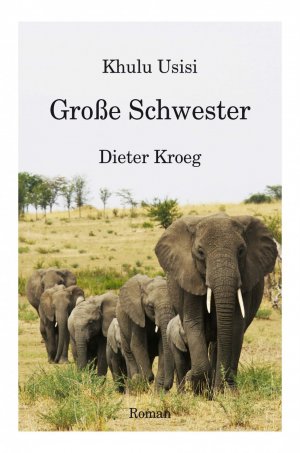 ISBN 9783943255010: Große Schwester – Khulu Usisi