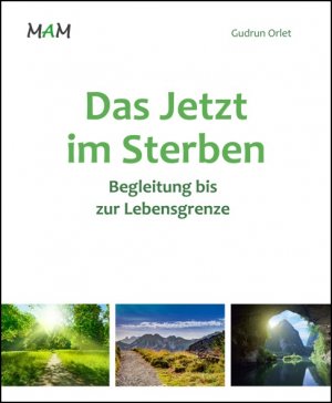 ISBN 9783943261059: Das Jetzt im Sterben - Begleitung bis zur Lebensgrenze