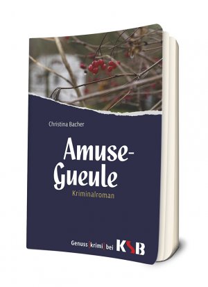 gebrauchte Buecher