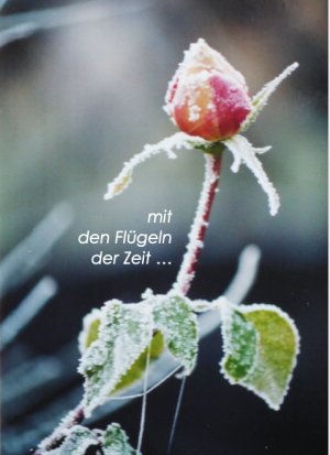 ISBN 9783945890363: mit den Flügeln der Zeit ... - Trost durch Collage und Text