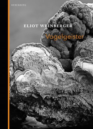 ISBN 9783946334224: Vogelgeister