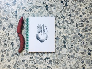 ISBN 9783947858118: Vegetable Teratology Colouring Book