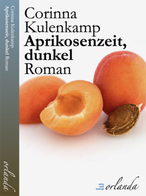 ISBN 9783949545412: Aprikosenzeit, dunkel – Roman