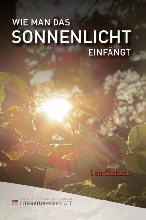 ISBN 9783952481219: Wie man das Sonnenlicht einfängt