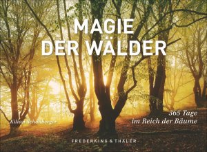 ISBN 9783954162628: Tischaufsteller Magie der Wälder - 365 Tage im Reich der Bäume