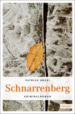 ISBN 9783954510603: Schnarrenberg