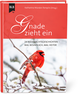 ISBN 9783955684280: Gnade zieht ein - 24 Weihnachtsgeschichten