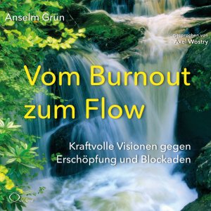 ISBN 9783956164637: Vom Burnout zum Flow