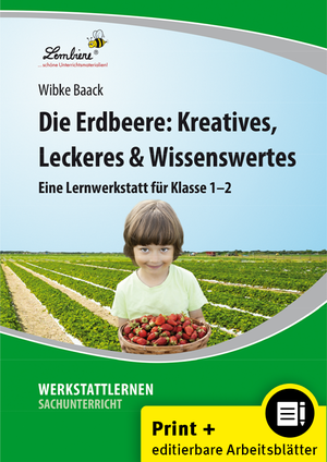 ISBN 9783956643149: Die Erdbeere: Kreatives, Leckeres & Wissenswertes | (1. und 2. Klasse) | Wibke Baack | Mehrteiliges Produkt mit Beigabe (im oder am Hauptprodukt angebracht) | Kopiervorlagen in Mappe mit CD | 59 S.