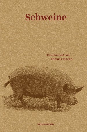 ISBN 9783957570994: Schweine - Ein Portrait