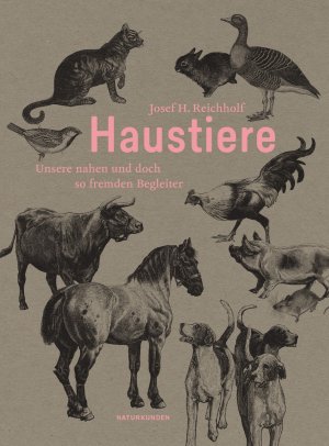 ISBN 9783957574626: Haustiere - Unsere nahen und doch so fremden Begleiter