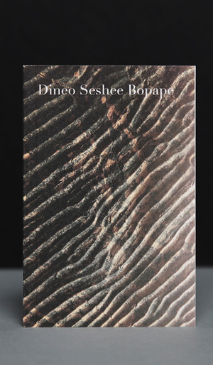 ISBN 9783957634924: Dineo Seshee Bopape