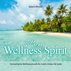 ISBN 9783957663993: Pure Wellness Spirit, Audio-CD