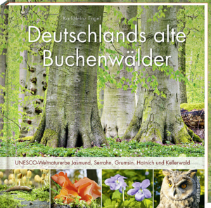 ISBN 9783957990105: Deutschlands alte Buchenwälder - UNESCO-Weltnaturerbe Jasmund, Serrahn, Grumsin, Hainich und Kellerwald