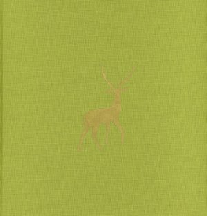 ISBN 9783958291102: Istanbul New Stories
