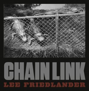 ISBN 9783958292598: Chain Link