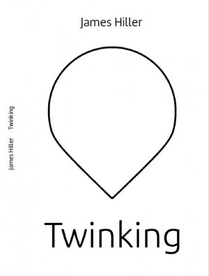 ISBN 9783958764590: Twinking