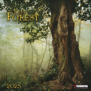 ISBN 9783959294065: Deep Forest 2025 – Kalender 2025