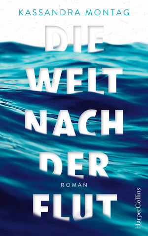 gebrauchtes Buch – Kassandra Montag – Die Welt nach der Flut