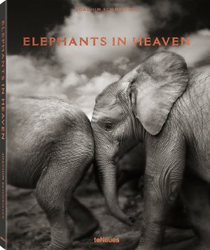 ISBN 9783961710478: Elephants in Heaven