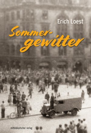 ISBN 9783963114793: Sommergewitter – Roman