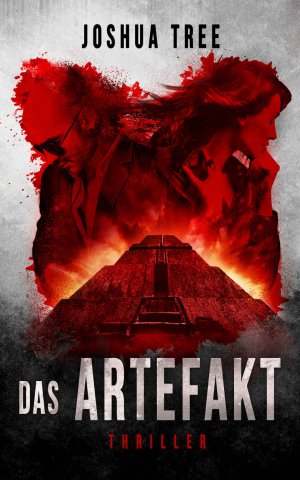 ISBN 9783963570360: Das Artefakt