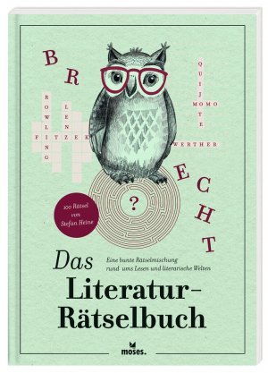 gebrauchtes Buch – Stefan Heine – Das Literatur-Rätselbuch