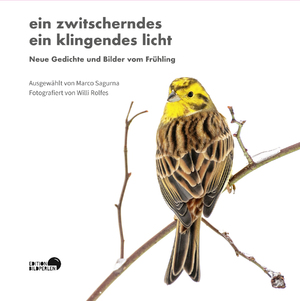 gebrauchtes Buch – Michael ­Augustin – ein zwitscherndes ein klingendes licht: Neue Gedichte und Bilder vom Frühling