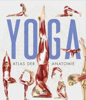 yoga anatomie 3d“ – Bücher gebraucht, antiquarisch & neu kaufen