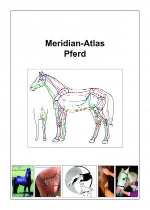 Dieter Mahlstedt (Autor), Ingrid Krause (Autor) - Akupunkt-Massage nach Penzel am Pferd: Meridian-Atlas Pferd