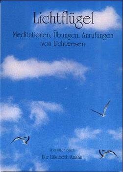 ISBN 9783980513739: Lichtflügel