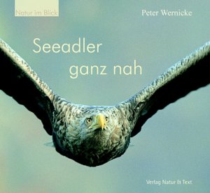 ISBN 9783981005813: Seeadler ganz nah